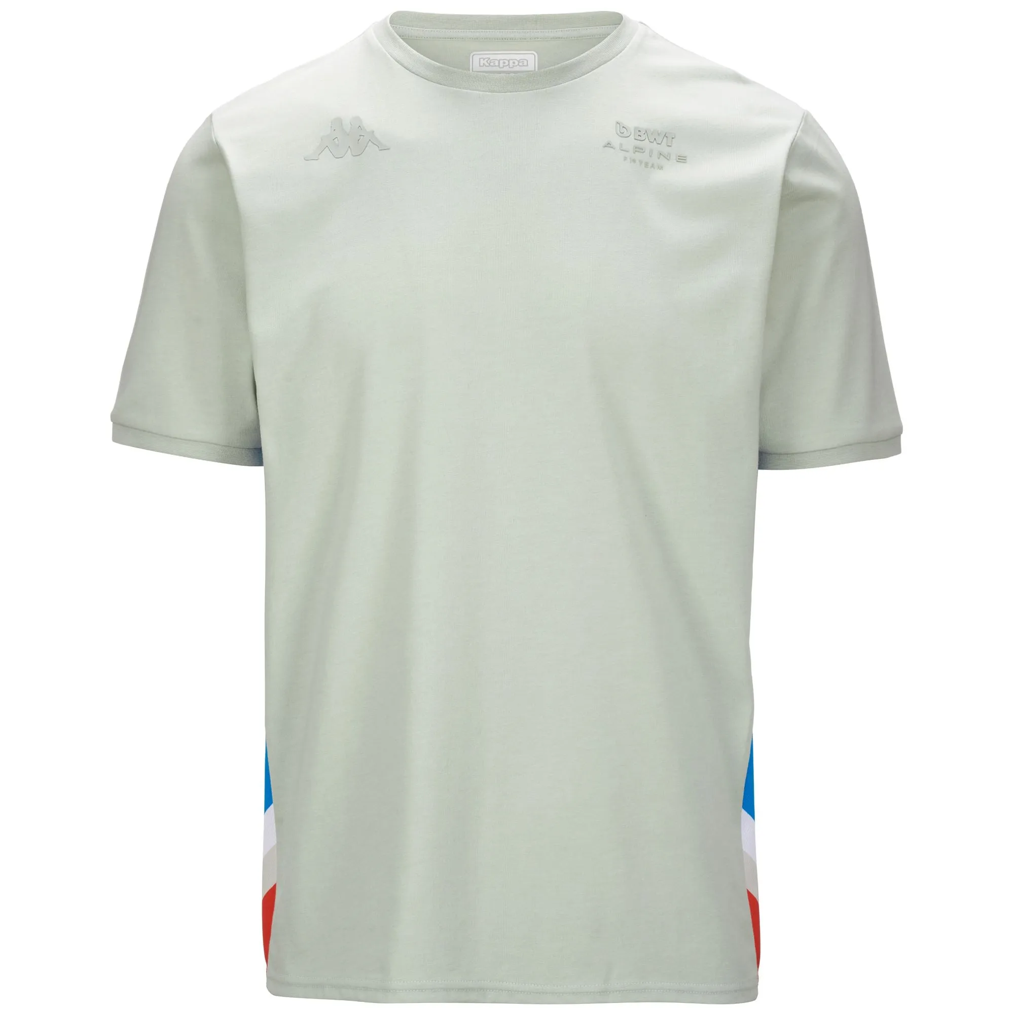 ANSER ALPINE F1 GRIS LTLIQUIDO AZULROJO
