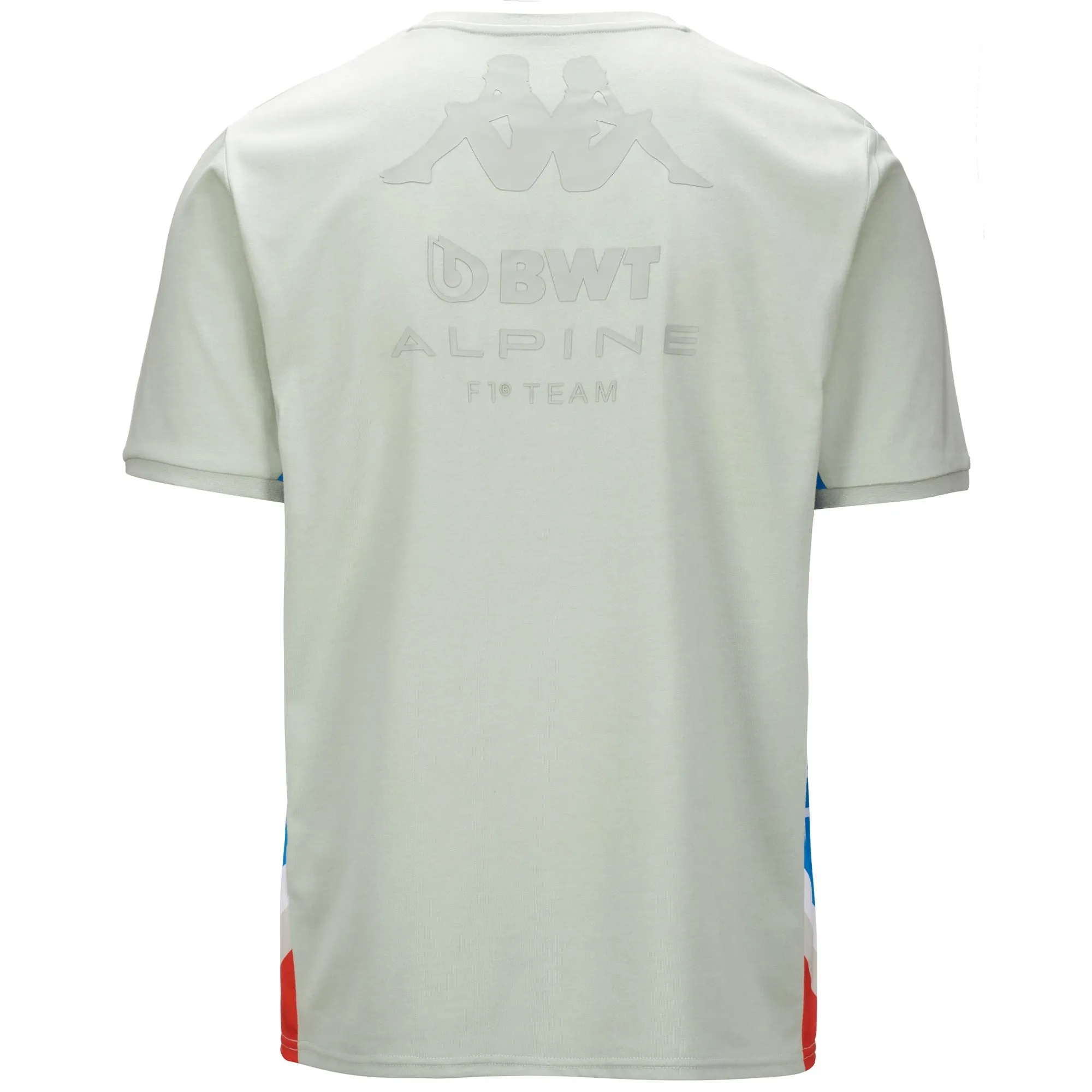 ANSER ALPINE F1 GRIS LTLIQUIDO AZULROJO