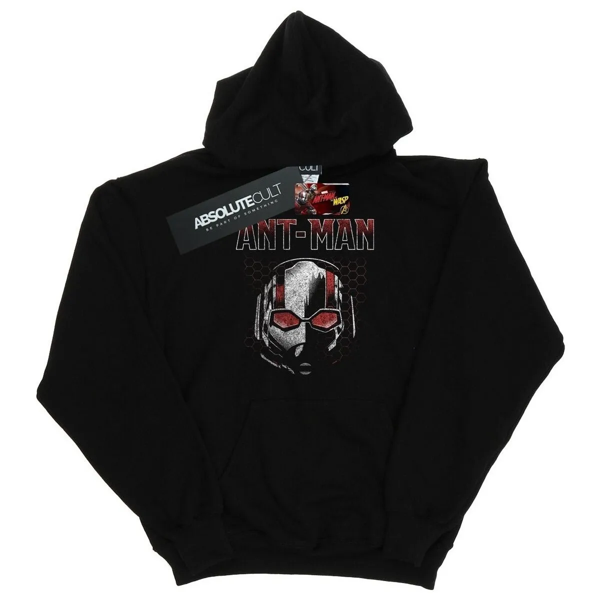 ANTMAN AND THE WASP SCOTT MASK HEXAGON