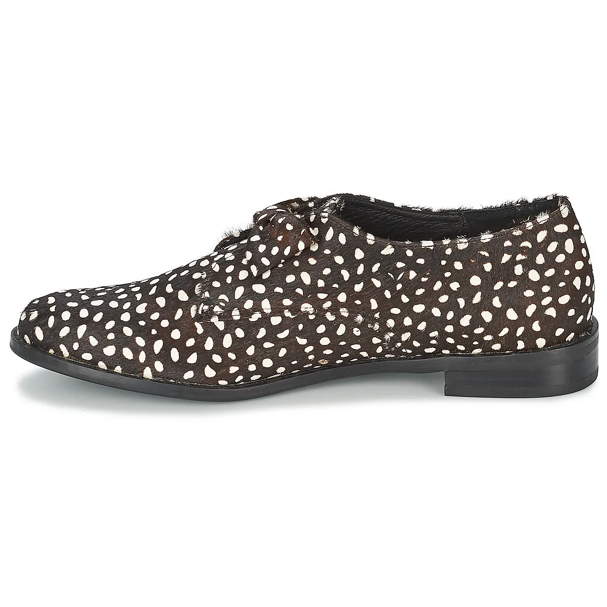 Bow Polka