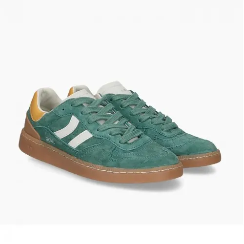 Coolway Goal Green Land