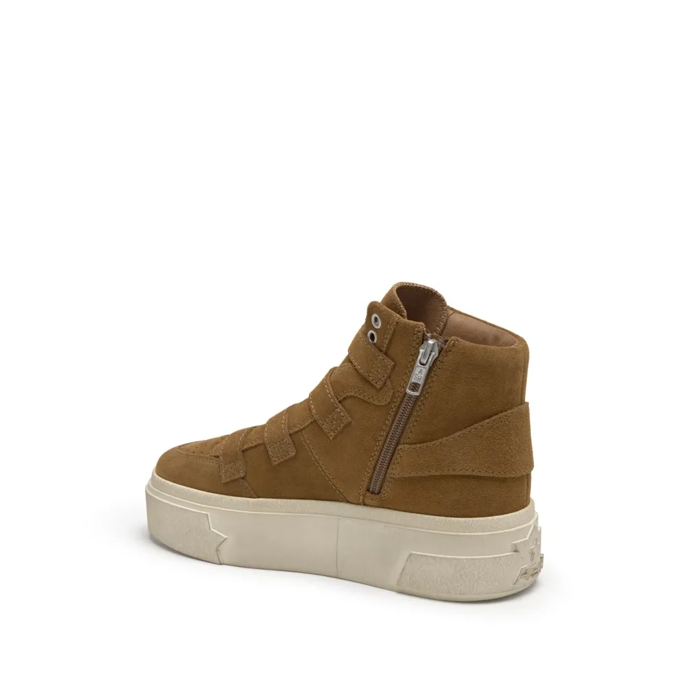 STARMOON BUCKLE Calf Suede Land