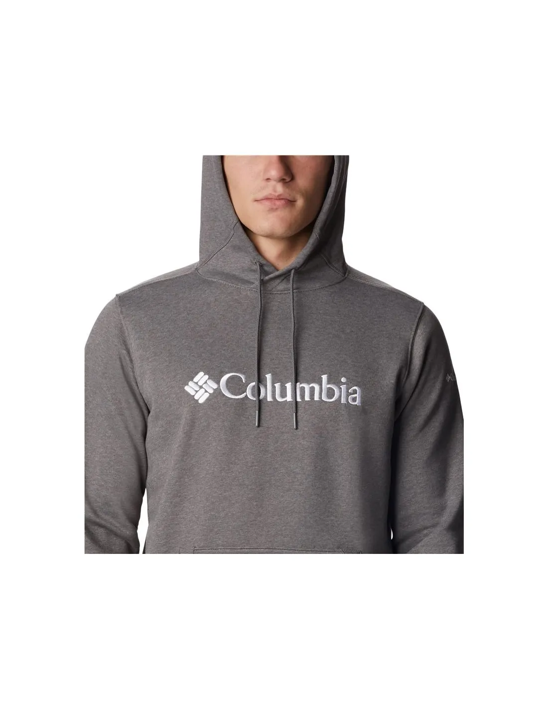 Sudadera de montaña Columbia CSC Basic Logo Gris Hombre